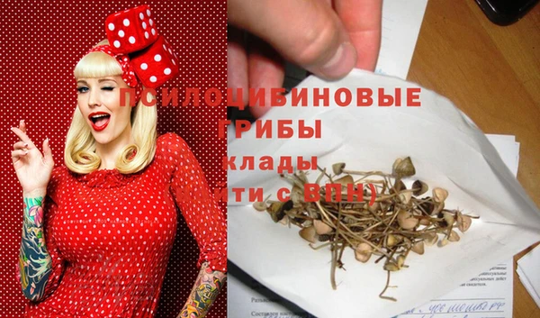 таблы Алзамай