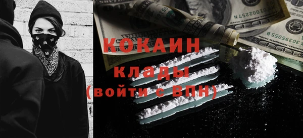шишки Абаза