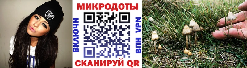закладка  Октябрьск  Псилоцибиновые грибы прущие грибы 